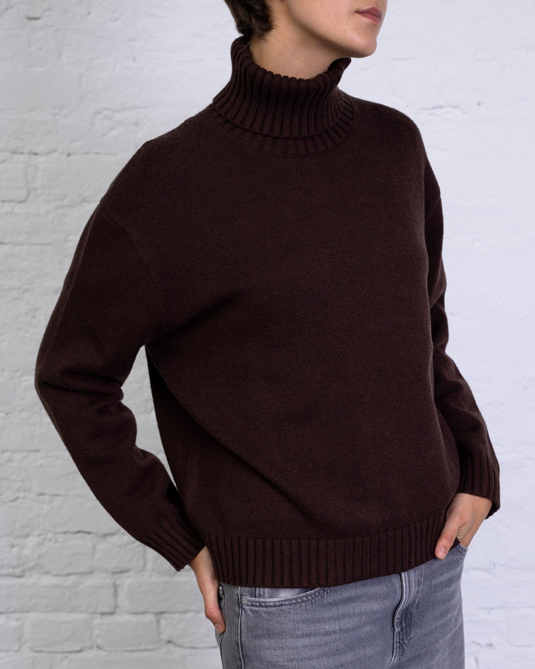 Pullover Rollkragen